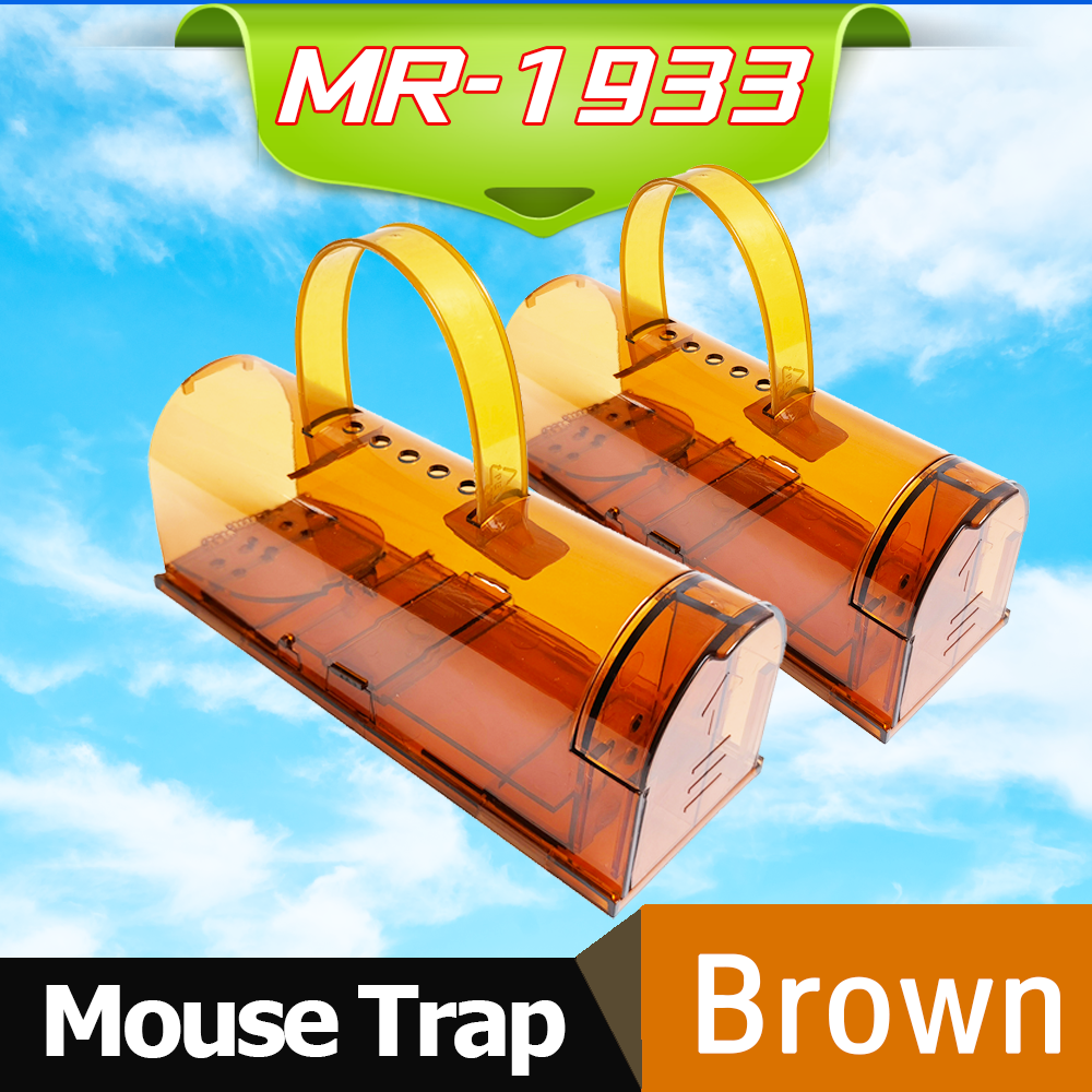 MR-1933-Brown